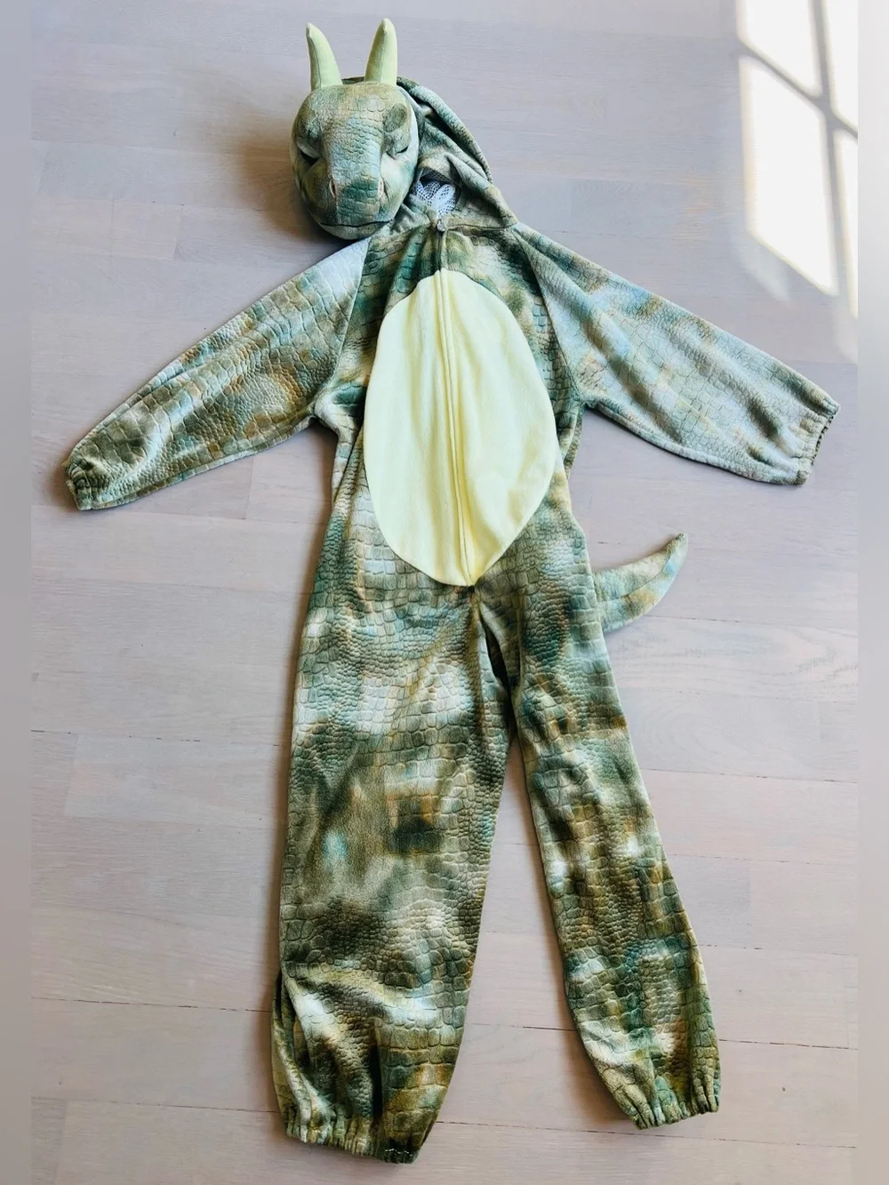 Dino kids costume